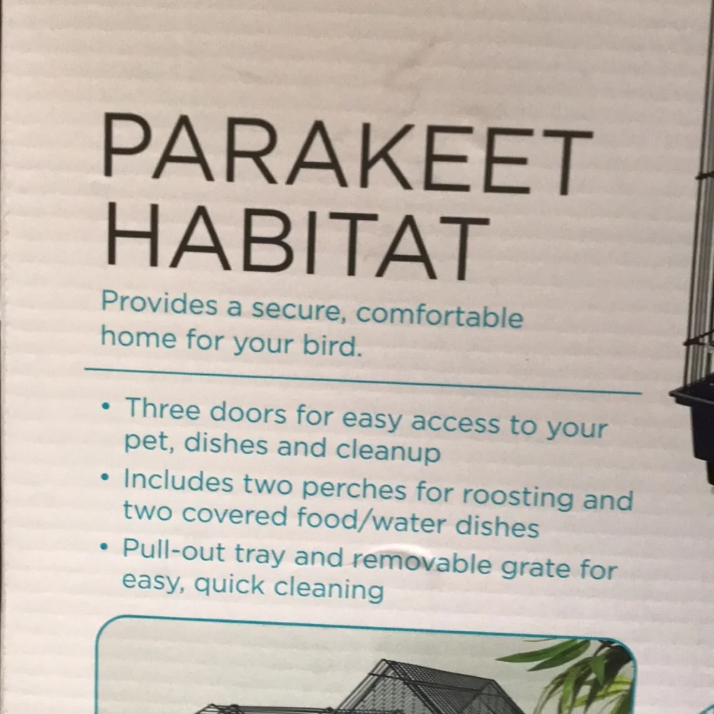 You you & Me parakeet habit